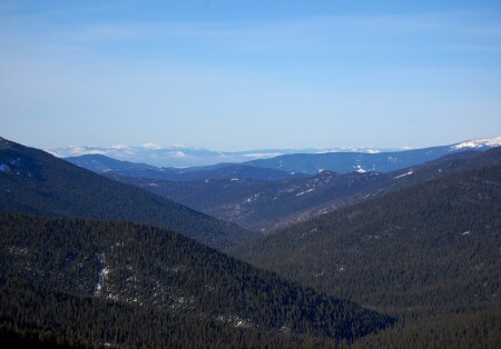 Вид с Полки