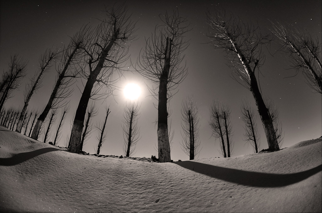 Night alley etude with full moon #2