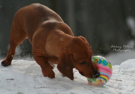 Подготовка к ЕВРО