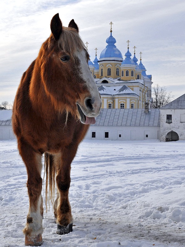 Привет фотографы!