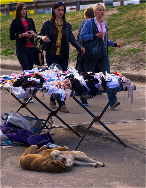 женский день