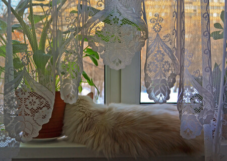 безмятежность...