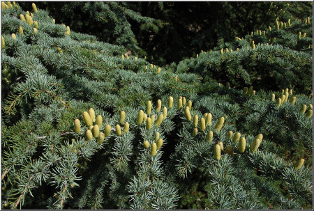 Перспектива [28013]