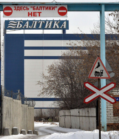 Здесь рыбы нет!