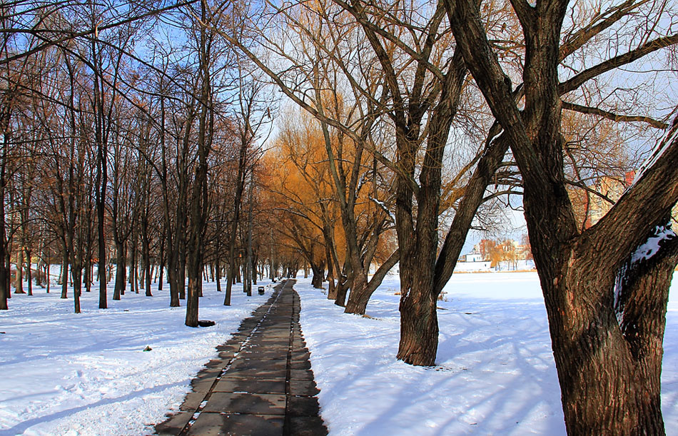 Городской парк