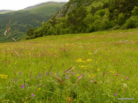 Горное лето