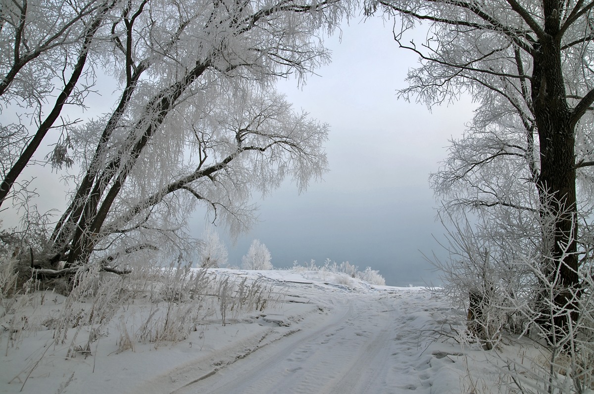 Седое утро