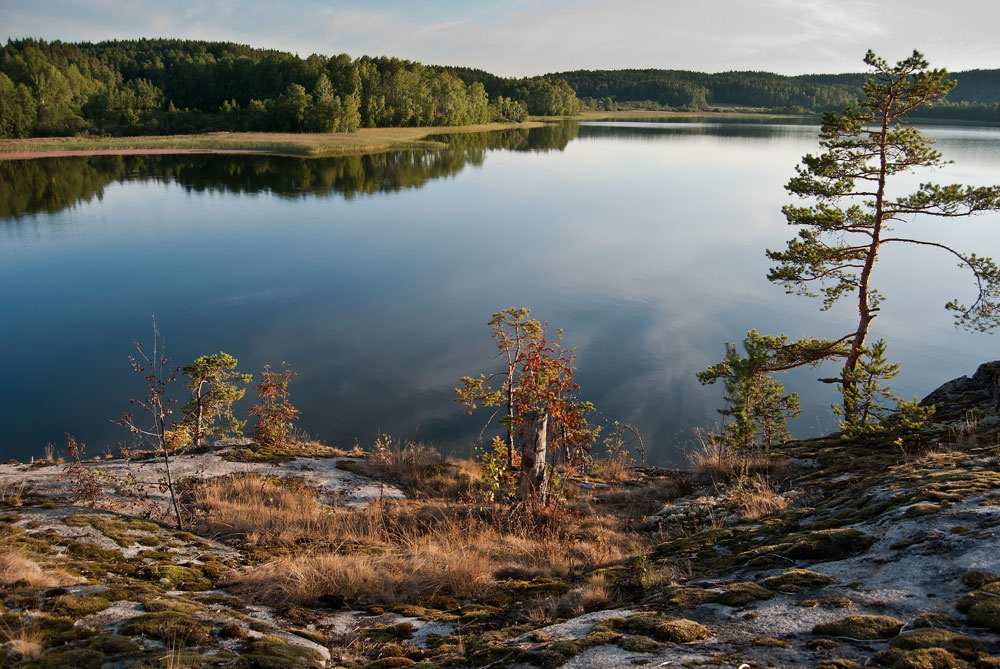 Карелия