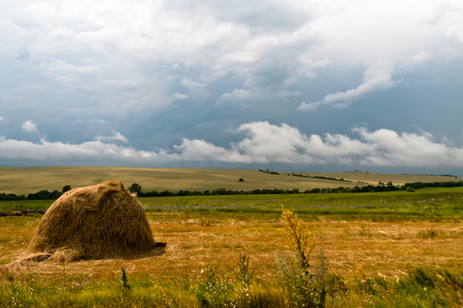 Перед грозой