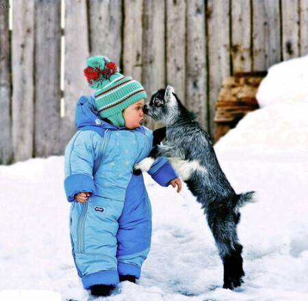 это кто тут козлик?))