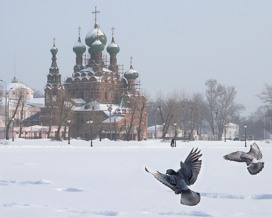 В Останкино