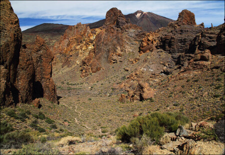 Roques de Garsia (в цвете)