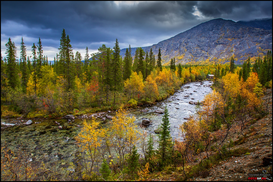 Река, осенью проплывала