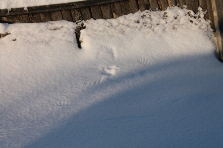 cлед на снегу