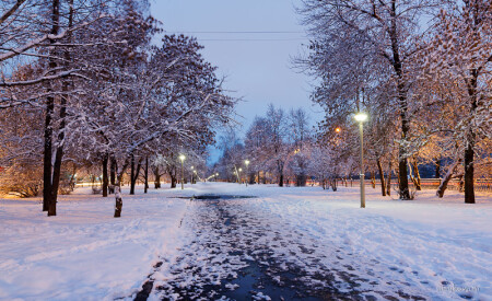 Снежное утро