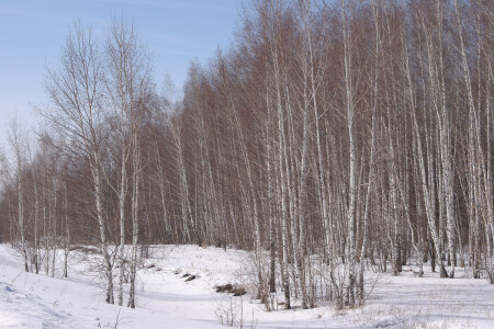 Последний день зимы