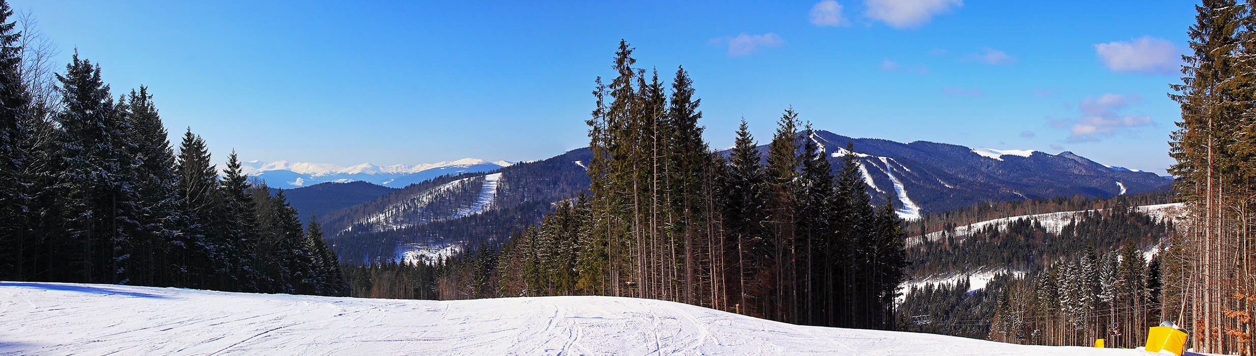 Развилка