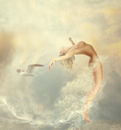 Dreams
