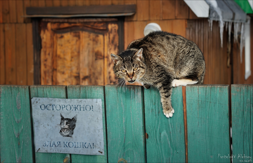 Бывает и такое!