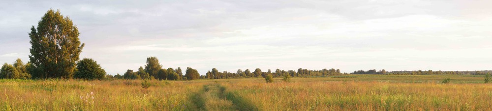 перед закатом