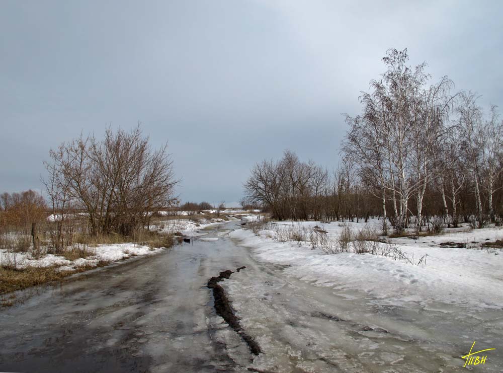 Мартовский проселок