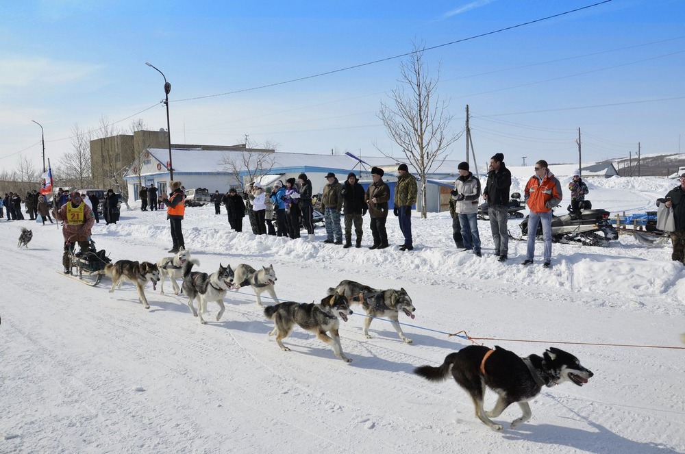 Беренгия 2012