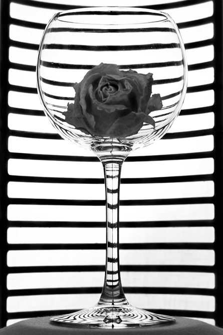 Rose in a glass