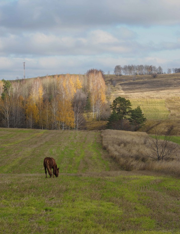 осень