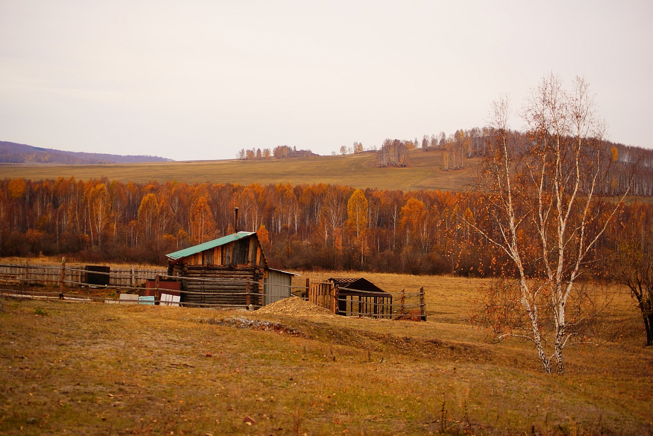 Осень