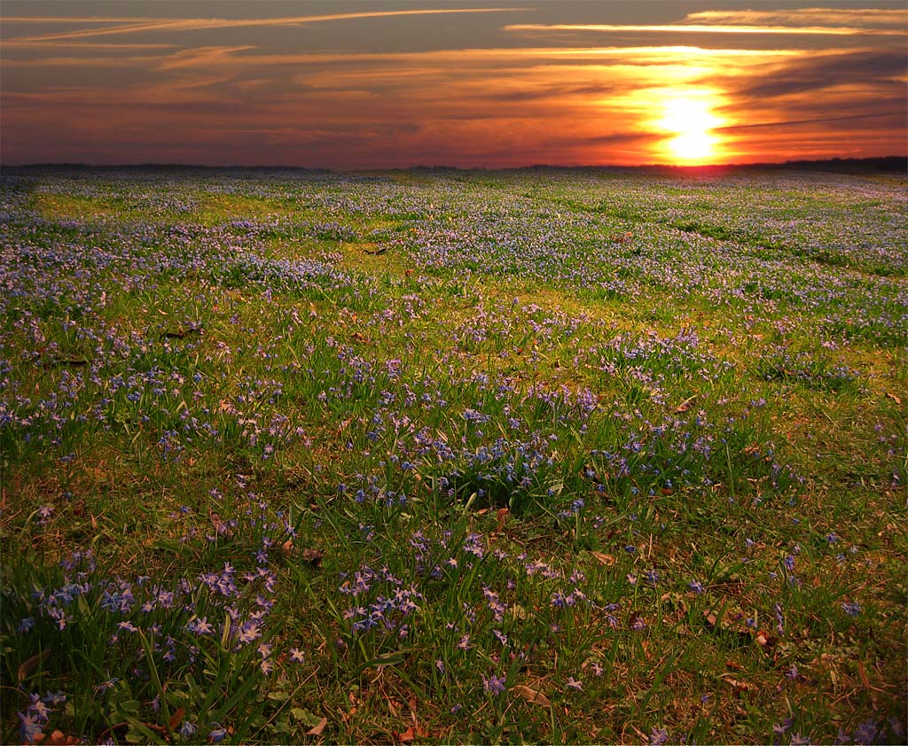 Лужок