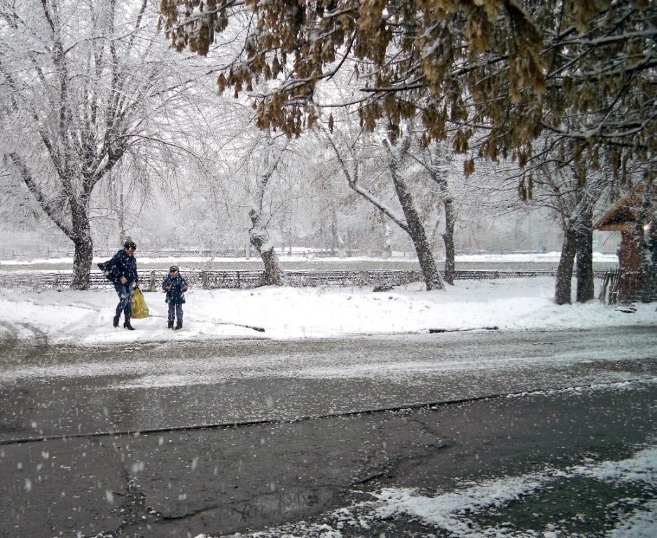 снежок пошел в цвете