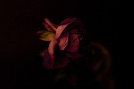 Воспоминание