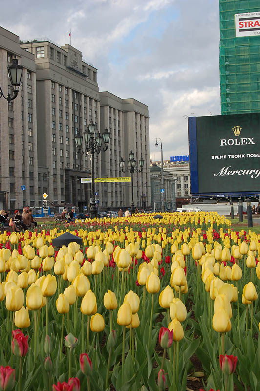 Москва глазами провинциала 2