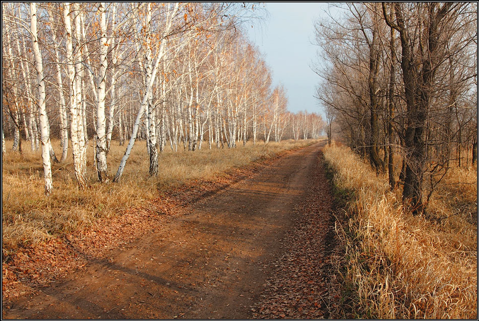 Природа перед обновлением...