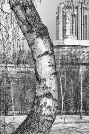 Архитектор-природа