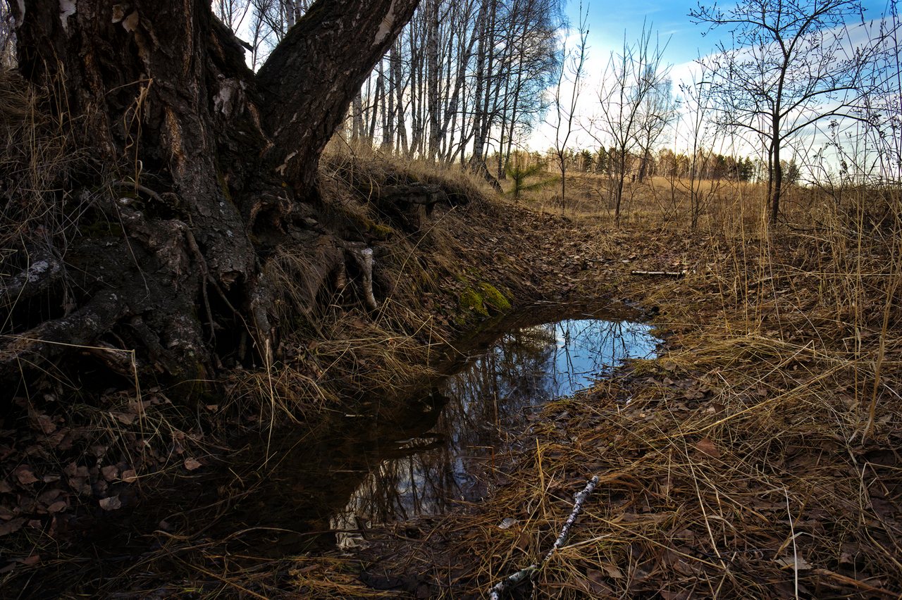 Кусочек весны