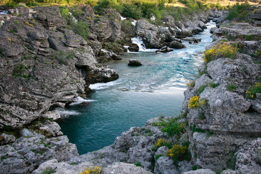 зеленая вода