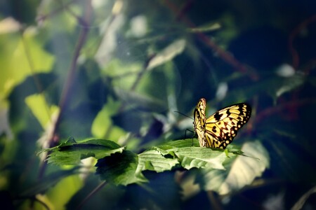 THE BEGINNING OF SPRING