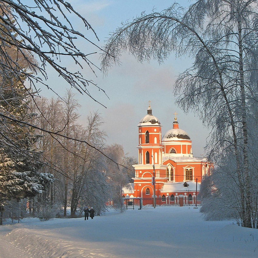 После ледяного дождя