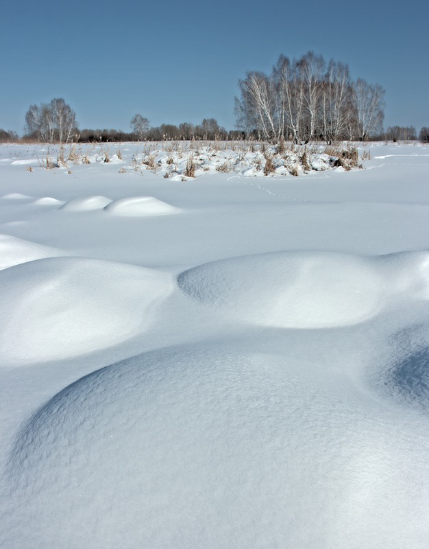 Кочки под снегом