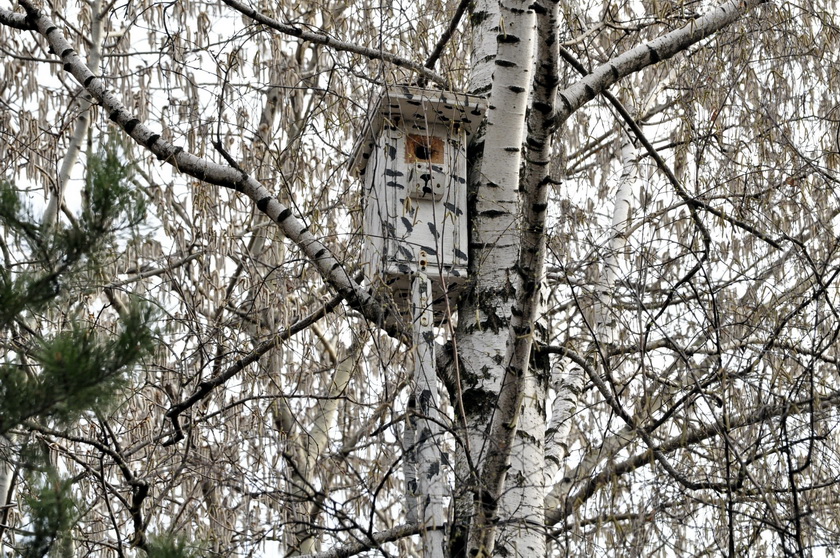 ЗАМАСКИРОВАННЫЙ