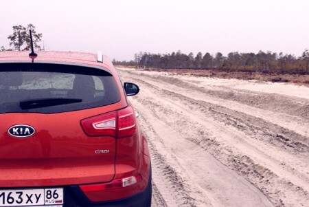 Северная сахара