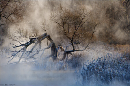 Зимний пейзаж с корягой у речки