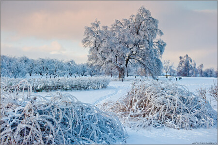 Коломенское в глазури
