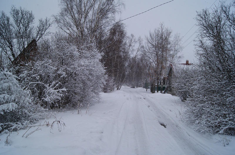 ярославские забелицы