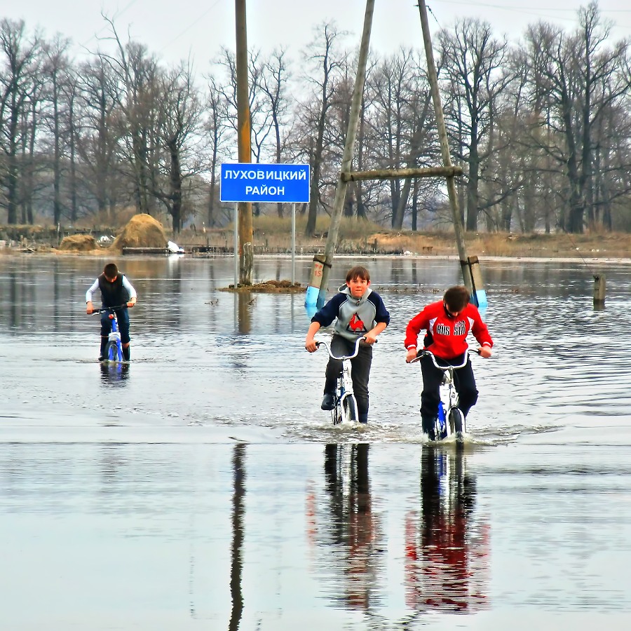 Ребята с Лисьих Нор