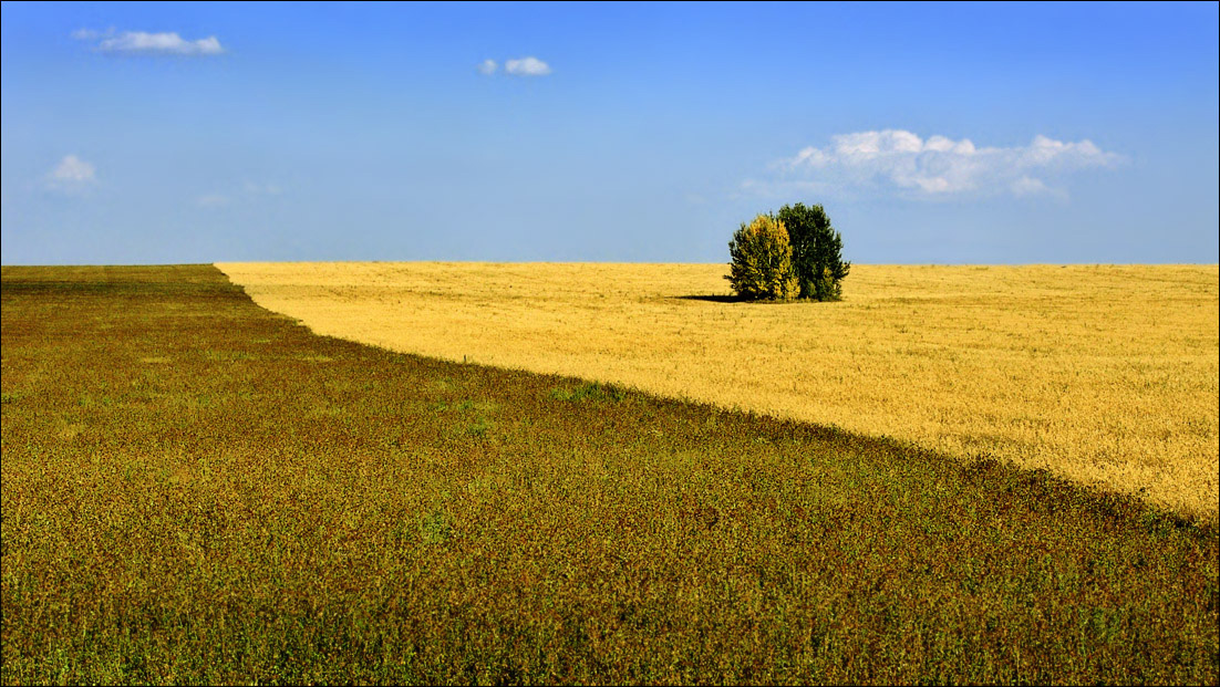 Счастливая парочка