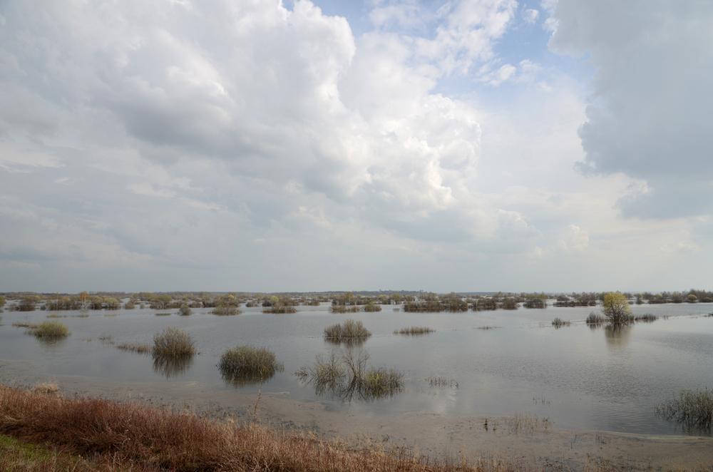 Большая вода - 5