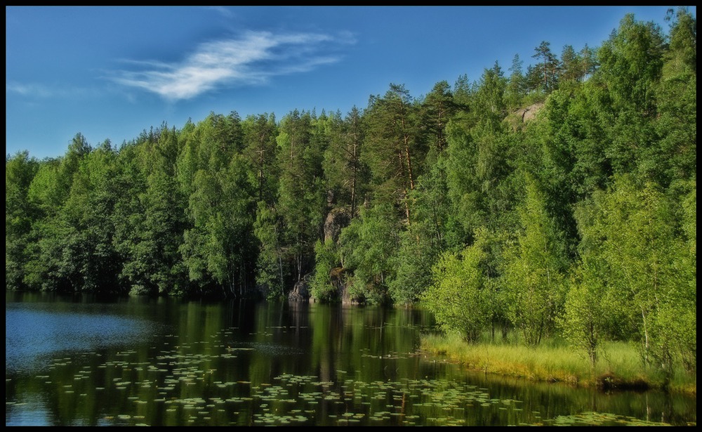 Ладожские мотивы