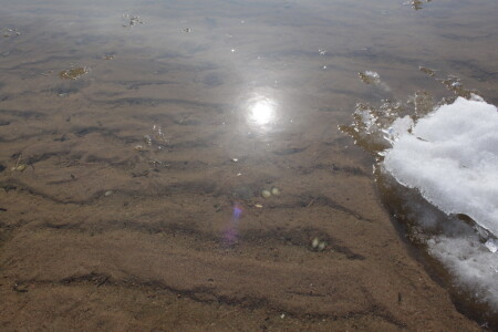 Солнышко греет, тепло дышать!